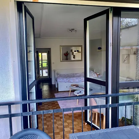 Grand Avec Terrasse Et Jardin Daire *